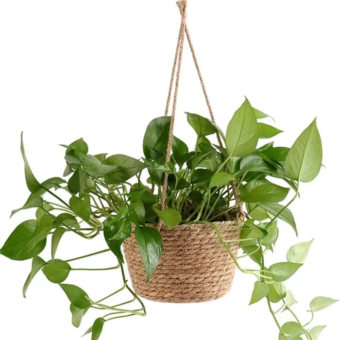 Jardinière suspendue en macramé, panier de rangement pour plantes, corde de Jute tissée, support de Pot de fleur d'intérieur et d'extérieur, cintres pour plantes, décoration de maison