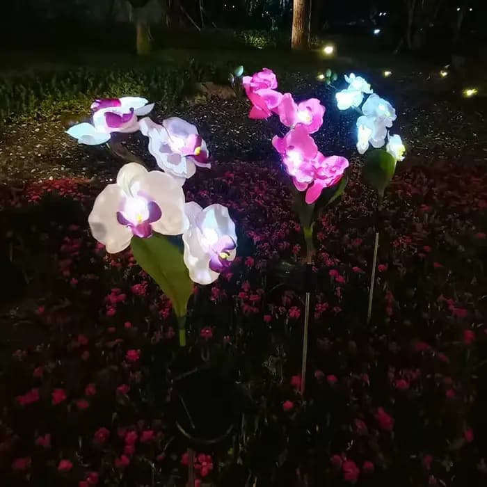 Nouvelle lampe solaire d'extérieur pour pelouse, jardin, cour, lampe décorative LED à insérer dans le sol, lumières de fleurs de phalaenopsis simulées