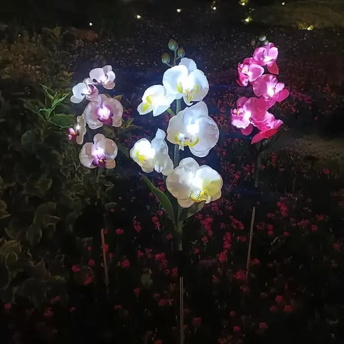 Nouvelle lampe solaire d'extérieur pour pelouse, jardin, cour, lampe décorative LED à insérer dans le sol, lumières de fleurs de phalaenopsis simulées