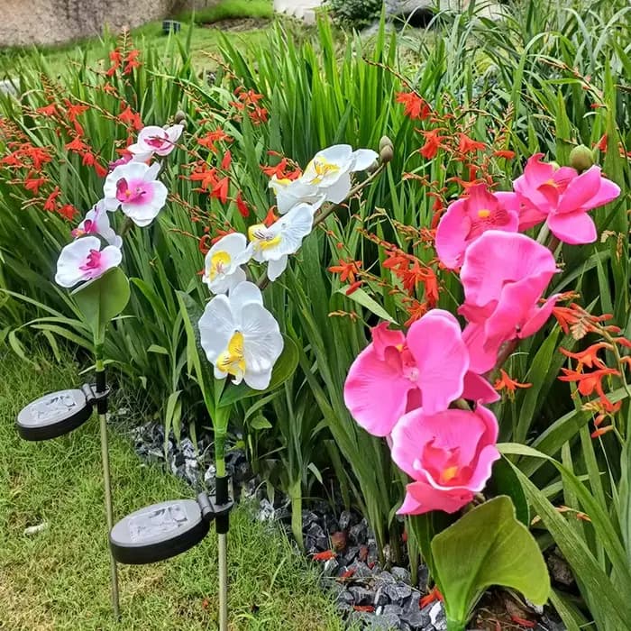 Nouvelle lampe solaire d'extérieur pour pelouse, jardin, cour, lampe décorative LED à insérer dans le sol, lumières de fleurs de phalaenopsis simulées