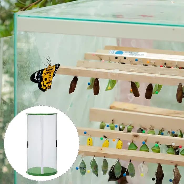 Cage d'élevage pour papillons, en maille transparente de qualité supérieure, légère, avec fermeture
