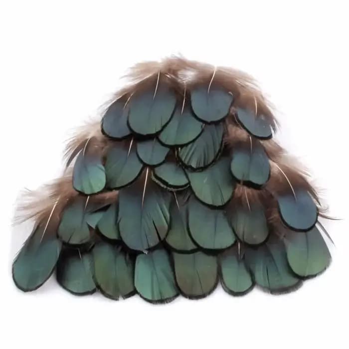 Plumes de faisan naturelles pour l'artisanat, bijoux à bricoler soi-même, accessoires exécutifs, plu