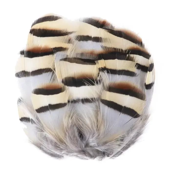 Plumes de faisan de paon naturelles, vente en gros, petits Plume, accessoires artisanaux pour la cré