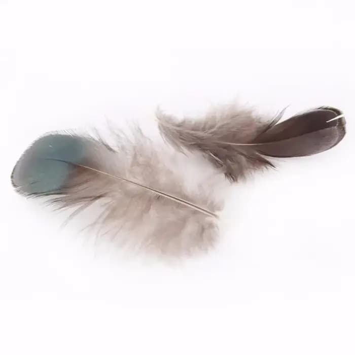 Plumes de faisan naturelles pour l'artisanat, bijoux à bricoler soi-même, accessoires exécutifs, plume bon marché, décorations de mariage, haute qualité, 6-8cm