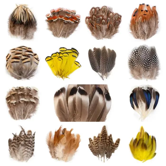 Plumes de faisan de paon naturelles, vente en gros, petits Plume, accessoires artisanaux pour la création de bijoux, décoration de vacances