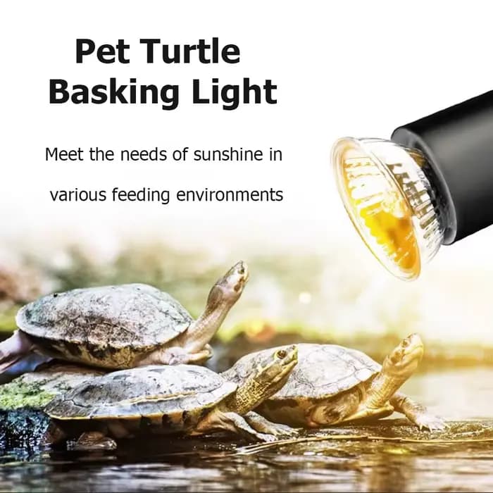 Lampe pour reptiles, animaux aquatiques, lézards, ampoule chauffante, tortue, bain de soleil, lumières UVA + UVB pour accessoires de tortue domestique