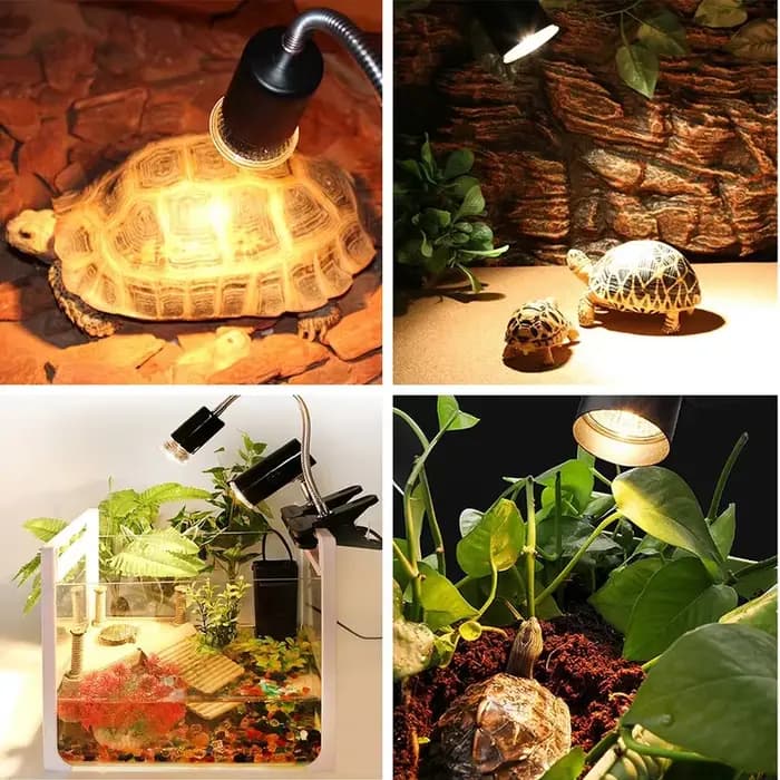 Lampe chauffante pour animaux de compagnie, lampe de repos pour tortue et lézard, ampoule pour caméléon, lampe chauffante pour reptiles, UVA et lumière du soleil non remboursable, 25W, 50W, 75W