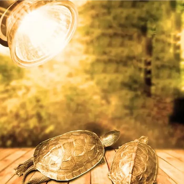 Lampe chauffante pour animaux de compagnie, lampe de repos pour tortue et lézard, ampoule pour caméléon, lampe chauffante pour reptiles, UVA et lumière du soleil non remboursable, 25W, 50W, 75W