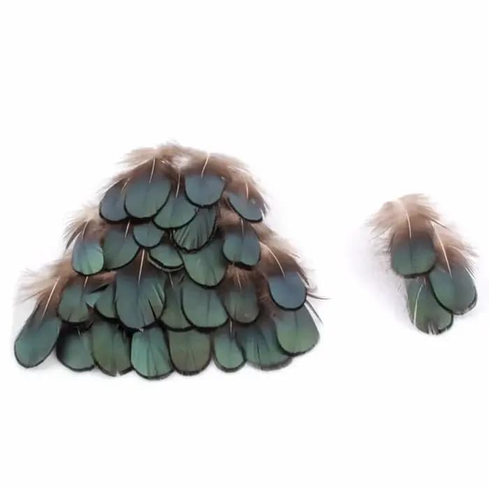 Plumes de faisan naturelles pour l'artisanat, bijoux à bricoler soi-même, accessoires exécutifs, plume bon marché, décorations de mariage, haute qualité, 6-8cm