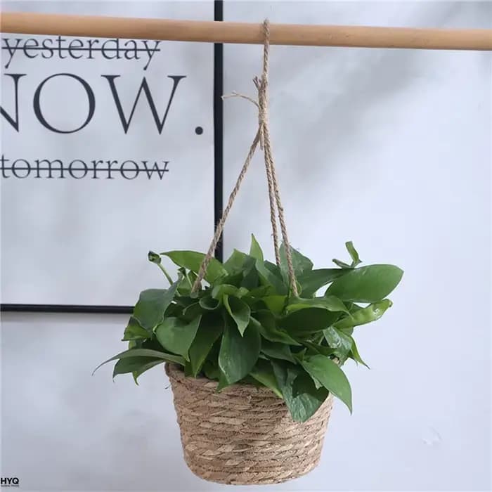 Pot suspendu de jardin en macramé, panier de rangement pour plantes en corde de jute tressée, support de pot de fleurs intérieur/extérieur, décoration d'intérieur