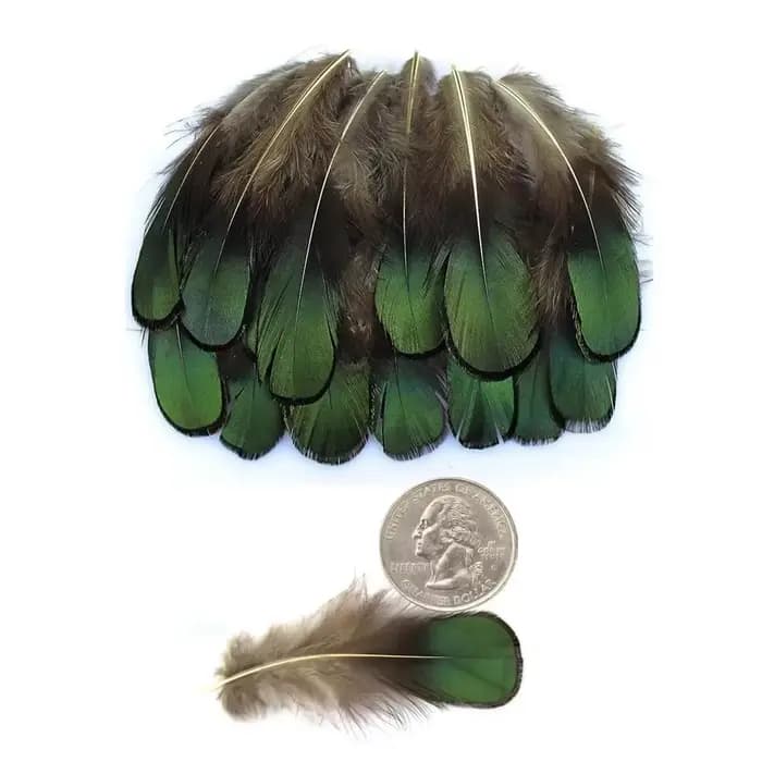 Plumes de faisan naturelles pour l'artisanat, bijoux à bricoler soi-même, accessoires exécutifs, plume bon marché, décorations de mariage, haute qualité, 6-8cm
