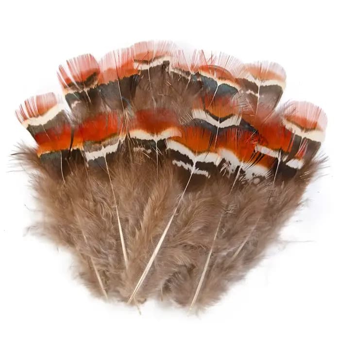 Plumes de faisan de paon naturelles, vente en gros, petits Plume, accessoires artisanaux pour la création de bijoux, décoration de vacances