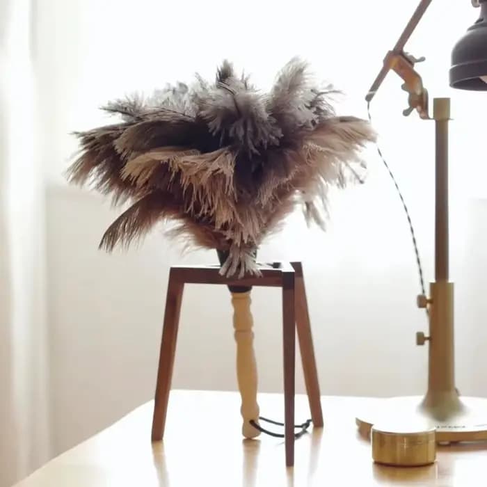 Plumeau à manche en bois, anti-statique, pour le dépoussiérage, plumeau en plumes d'autruche, brosse en fourrure pour le nettoyage de la maison