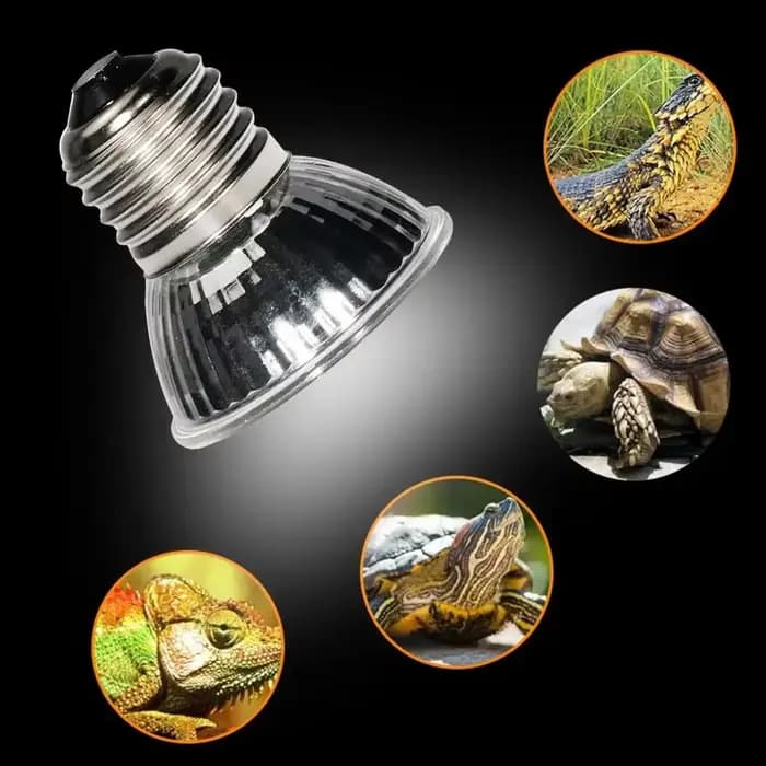 Lampe chauffante pour animaux de compagnie, lampe de repos pour tortue et lézard, ampoule pour caméléon, lampe chauffante pour reptiles, UVA et lumière du soleil non remboursable, 25W, 50W, 75W